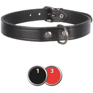 Basic collar, S: 28–34 cm/14 mm, red