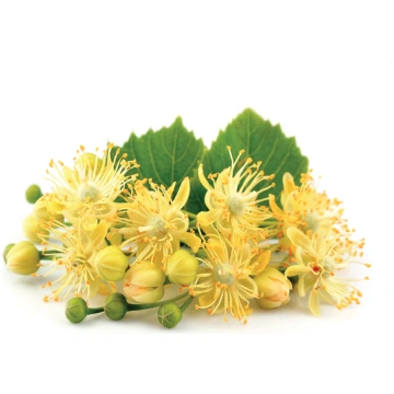Liepu ziedu medus, 4500g