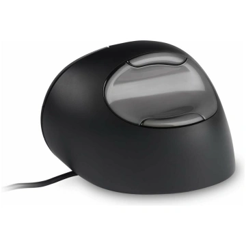 Bakker Elkhuizen Evoluent D Small - vertical mouse