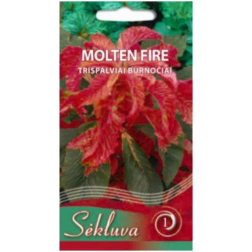 Amarants trīskrāsu Molten Fire sēklas 0,3gr Sēkluv