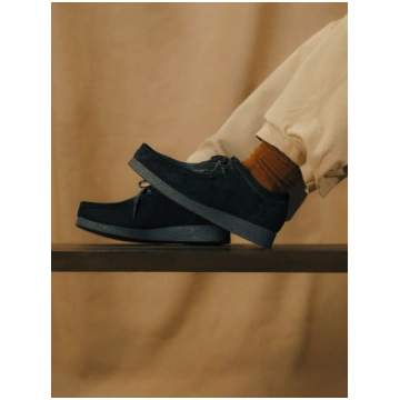 Clarks Wallabee EVO Men's