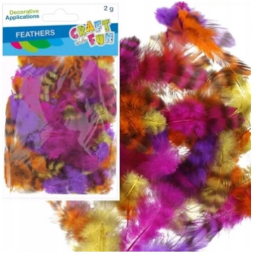 Craft with Fun OZDOBA DEK PIORKA 2G CENTKI KOL CF 