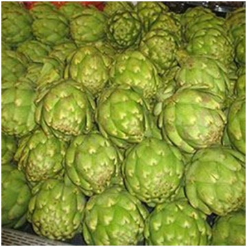 Carciofo romanesco EMERALD