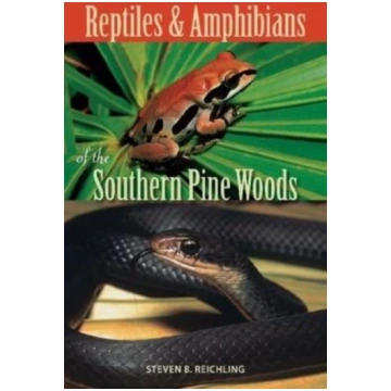 Reptiles and Amphibians of the Southern Pine Woods