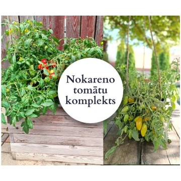Nokareno tomātu kaste - 4 gab AR IEKĻAUTU SŪTĪŠANU
