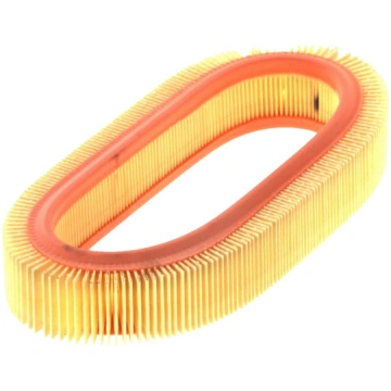 Gaisa filtrs FILTRON AR 001