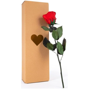 ROSEMARIE SCHULZ Heidelberg Eternal Rose Red ar st