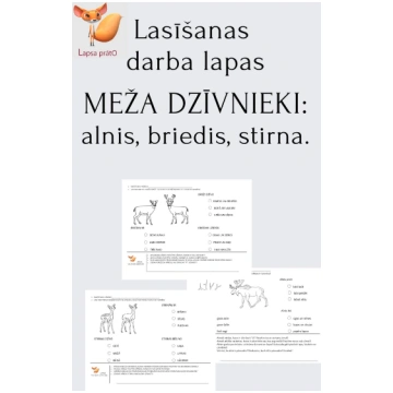 Lasīšanai ar izpratni. Meža dzīvnieki: alnis,bried