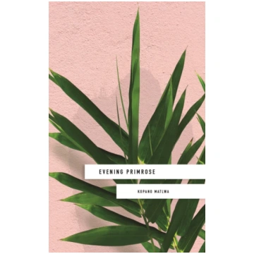 Evening Primrose: a heart-wrenching novel for our 