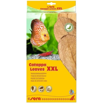 sera 32273 „Catappa Leaves“ — jūras mandeles koka 