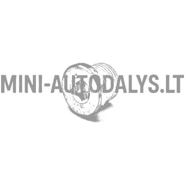Lombardini eļļas izlaišanas korķis Mini Autoparts 