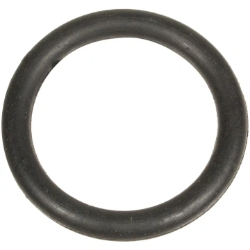 Blīvslēgs Cedrus o-ring pompa PB60-3