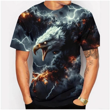 Modes 3D Print Eagle Graphics T-krekls vīriešiem T