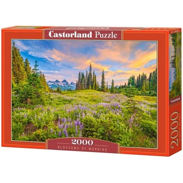 Puzle Castorland Blossom Of Morning 200863, 68 cm 