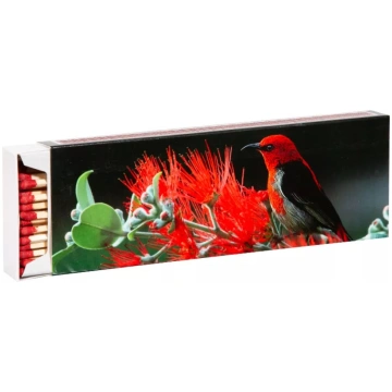 Sērkociņi FLAMAX 1318636 20cm 55 gab. kastītē
