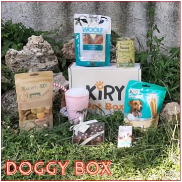 DOGGY BOX JULI - s/xs