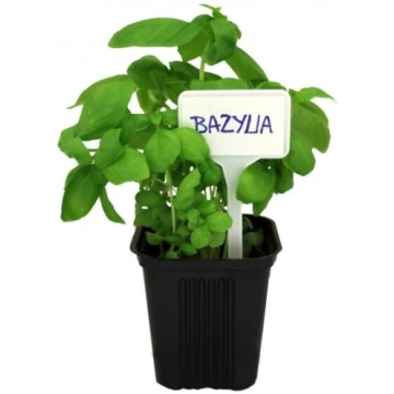 Uzrakstu plāksnītes baltas augu marķēšanai Garden 