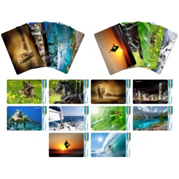 Esperanza EA133 mouse pad Multicolor