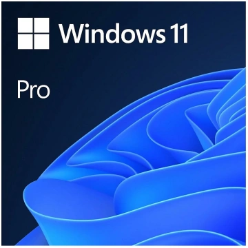 Microsoft Windows 11 Pro 64 bit ENG INTL 1PK DSP O