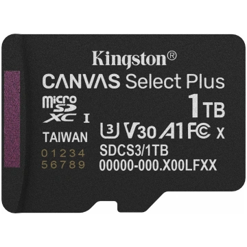 Kingston Flash-Card Canvas Select Plus - microSDXC