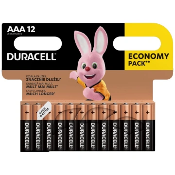 Baterija DURACELL Basic AAA 12 gab./iepak. 250-058