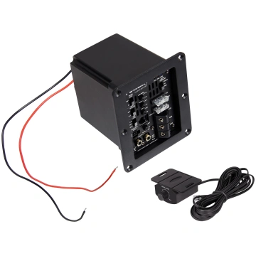 ESX Power4 power amplifier inside subwoofer box (m