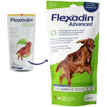 VETOQUINOL Flexadin Advanced 60 kąsków uniwersalny