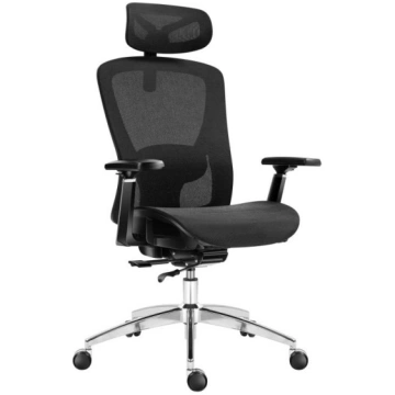 Expert 5.3 Black Mesh Swivel Chair ( 5903796018424