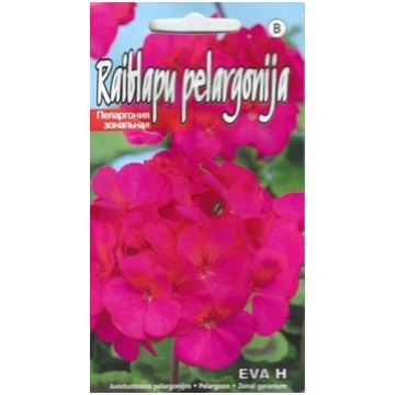 Pelargonijas raiblapu Eva H sēklas 5gb Kurzemes sē