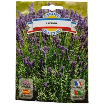 Lavanda Garden Elite