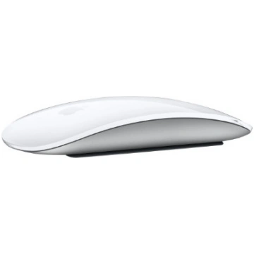 Apple | Magic Mouse with Multi-Touch Surface | Wir