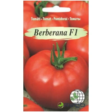 Tomāti Berberana F1 AMC 7s
