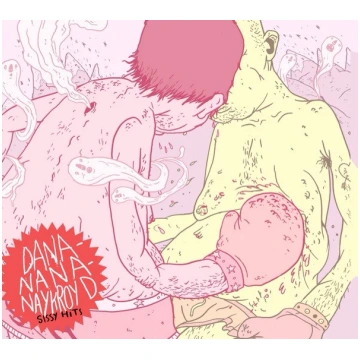 Lietots - CD Dananananaykroyd – Sissy Hits Holy Ro