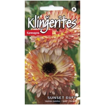 Sēklas klinģerītes Sunset Buff, 4 g