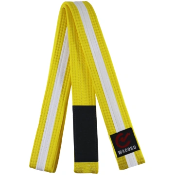 Wacoku BJJ josta