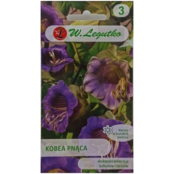 Kobejas vijīgās, violetas, W. Legutko