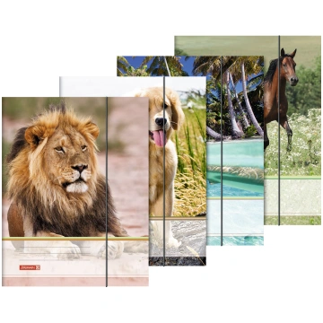 Mape A4 ar gumiju Animals (Zirgs) - 1047084-horse 