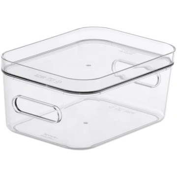 STORAGE BOXCOMPACT CLEAR S 10690 (6411760106903) (