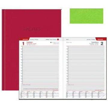 Dienasgrāmata TIMER Business CLASSIC LUX gaiši zaļ
