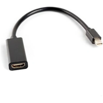 Lanberg AD-0005-BK video cable adapter 0.2 m Mini 