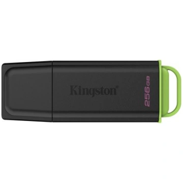 Kingston Technology DataTraveler 256GB Portable US
