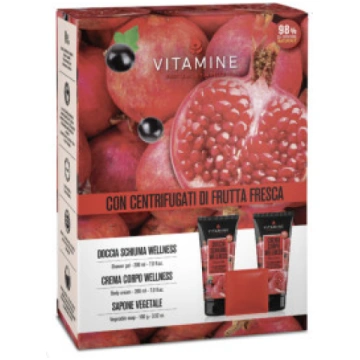 Box gift set Unisex VITAMINE WELLNESS BODY TREATME