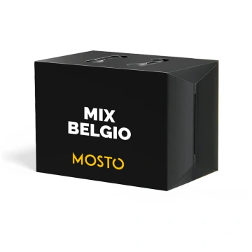 Box da 12 - Mix Belgio Mosto