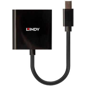 Lindy Mini DisplayPort to DVI Active Converter