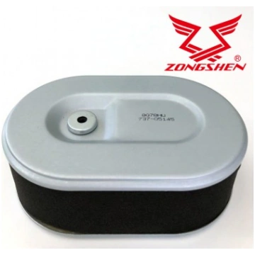 GAISA FILTRU MTD 04-25003