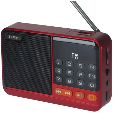 Setty mini FM radio + Bluetooth speaker SFM-01M | 