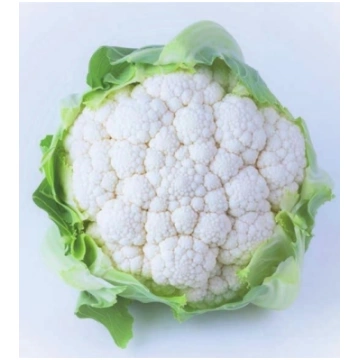 Cavolfiore PLESSI