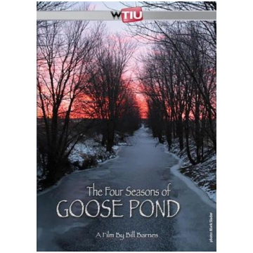 Four Seasons of Goose Pond