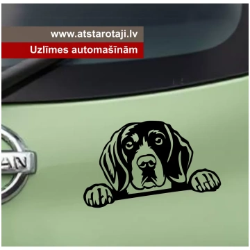 Uzlīme spoguļiem, automašīnām, sienām "bīgls h22" 