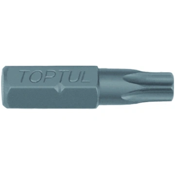 Uzgaļi - skrūvgriežiem (biti) TORX Tamper 5/16" T6